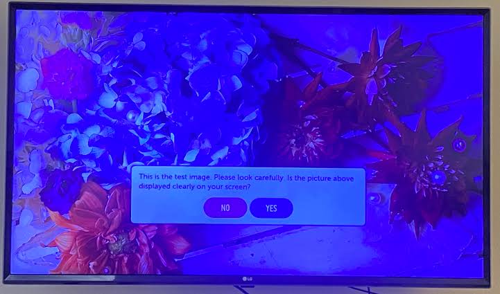 LG LED TV Blue Screen Problem